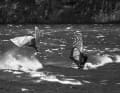 Foehn storm surfing is tough - you can even get out on the water with a nose plaster.