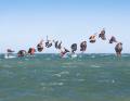 Backflip into Backflip - easy, oder?