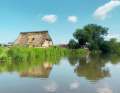 Approx. 2.5 km downstream on the "Hidden Waters of New Jork" tour in Moorende in Altes Land