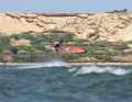 Dudu flies through the skies of Dakhla.