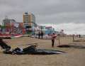 Shades of grey: Der Dienstag war beim World Cup Sylt recht trüb