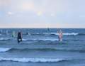 Many starving windsurfers had made the journey to the north of Denmark