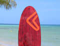 ...at a length of 2.31 metres, the outline is only moderately rounded.