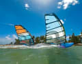 Left: Freerace 2-cam sail. Right: Freeerace No-Cam sail. What are the differences?