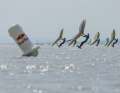 Successful foreign premiere: At the Winger of the Sea...