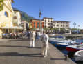 Zuverlässiger Wind und mediterranes Flair machen den Gardasee - wie hier in Malcesine - zu einem Evergreen.