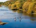 The Ruhr often flows gently, sheltered from the wind – making it perfect for autumn walks.