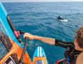 Pure nature - Jono has seen almost all of Europe's coasts. Each one has its own charms for him.