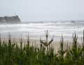 Where it is flat, large waves often roll onto the coast - a hairy affair with racing equipment