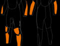 The stress zones in particular, which cannot be protected by an impact waistcoat, are reinforced