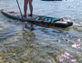 The motor provides support either with constant power (cruise mode) or in a clocked manner only in the pulling phase (paddle mode).