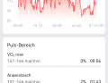 Windsurf-Wavesession