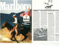 Die Highlights aus surf 6/1978
