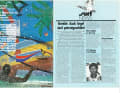 Die Highlights aus surf 11/1980