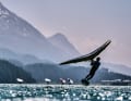 Die besten Bilder vom Wingfoil World Cup in Silvaplana