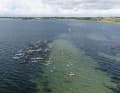 To kick things off, there was a long distance race from Gold to Südstrand
