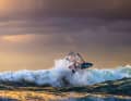 Spot Guide writer Kristoffer Living knows how to handle the waves in Skälderviken, even when they really give him a rough ride.