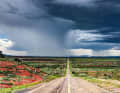 Eine dieser typisch schnurgeraden Straßen zieht sich durch die Ebene von New Mexico. Darüber wölbt sich ein imposanter Gewitterhimmel.