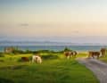 Skälderviken Bay in the north of Skåne: conditions for everyone, from beginners to pros. And it's beautiful too.