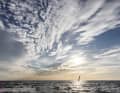 Die besten Bilder vom Citroën Windsurf World Cup Sylt 2026
