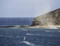 Teneriffa bietet euch mit seinen side onshore Wind von links optimale und fehlerverzeihende Wellenbedningungen.