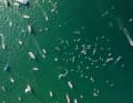 A cela s'ajoutait une centaine de stand-up paddleurs et de surfeurs.