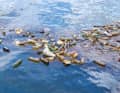 Trasportati dalle correnti e spinti dai venti, i rifiuti di plastica si accumulano in mare formando fitti tappeti.