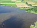 Durch die Ausbreitung der Trogmuschel wird das Wasser klarer