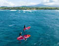 The Fly Wing should drift neutrally in the wave