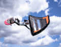 As part of the Open German Championships, there will once again be competitions in slalom and freestyle