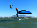 Zur Board-Range von Norden-Surfboards gehören sechs Größen...