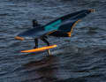 Wave riding in the regular position (left foot in front)