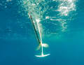 In the Eclectic Energy products, a sort of fin keeps the propeller submerged.