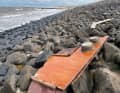 A bulkhead from the cabin washed ashore on Baltrum bears witness to the accident of the "Silja". The sailing boat had sunk in the Accumer Ee estuary
