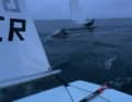 Si dice che ci fossero almeno quattro animali in totale ad accompagnare i marinai dell'Ilca da Strande