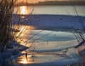 Winter world Schlei | Photographer: Nico Krauss