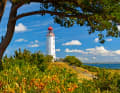 Insel-Wahrzeichen und Foto-Hotspot: Der Leuchtturm auf dem Dornbusch ist das Ziel