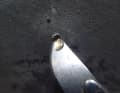 An osmosis bubble is pierced with the tip of a knife. A liquid smelling of acid flows out