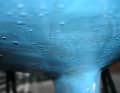 This finding seems clear from the bubbles, but it is not necessarily osmosis