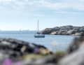 Eine Segelyacht liegt in einer Bucht in Göteborgs Schärengarten Westschweden vor Anker
