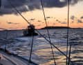 Die "Soggy Dollar" wird nach Helgoland geschleppt.