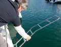 ... keep up. The ladder should extend two steps into the water and be foldable from the water. A release line may help