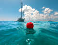 The anchor buoy helps to estimate the swinging circle. In addition, a stuck anchor can be broken out on the trip line
