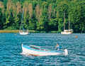 Sailing yachts are safely moored in Thurøbund under the lee of the trees