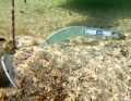 In addition, the iron sits very stably in the ground and is comparatively inexpensive