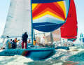 L'"Espada" di Meier-Kothe, progettato da Judel/Vrolijk, ha partecipato alle regate per l'Admiral's Cup nel Solent negli anni '80. Meier-Kothe naviga ancora oggi con il suo Baltic 39 omonimo.
