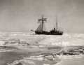 Off the coast of Newfoundland, scientists have found the wreck of the research vessel "Quest", which sank in 1962 and in which the famous polar explorer Ernest Shackleton had made his last voyage 40 years earlier