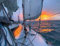 Off to new horizons. From autumn 2023 to summer 2024, Hympendahl was on a long voyage with his "African Queen"