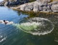 Un plongeon dans la mer est possible à tout moment de la journée, et pas seulement après le sauna.