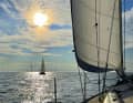 The "Naja" and in front the author's boat, the "Valentine", in the wind farm off the Dutch coast.